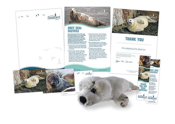 A display showing the different items included in the Grey seal adoption pack, including a cuddly toy, 2 postcards, a bookmark, a factfile and a certificate.