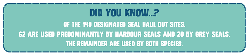 Did you know…? Of the 149 designated seal haul out sites, 62 are used predominantly by Harbour seals and 20 by Grey seals. The remainder are used by both species.