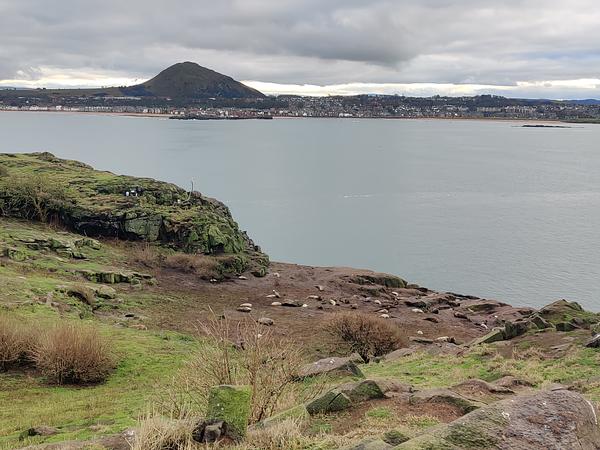 Dozens of seals lie undisturbed on the muddy slopes of Craingleith island; North Berwick Law and the town span the background